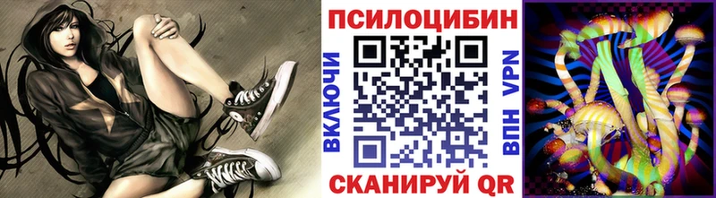 наркошоп  Аргун  Псилоцибиновые грибы Psilocybine cubensis 